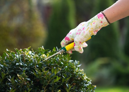 Gardener assessing a garden during a service visit