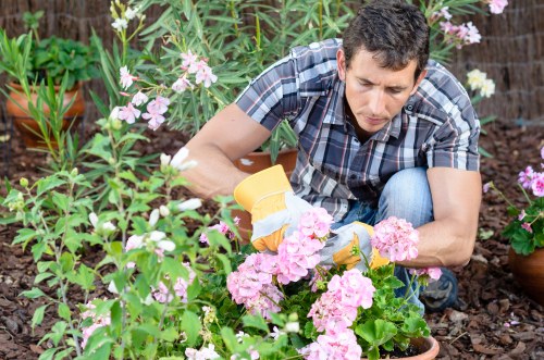 Safety briefing and planning for garden maintenance