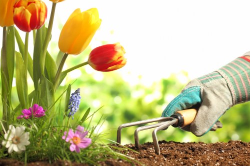 Seasonal gardening activities by Woolwich gardening experts